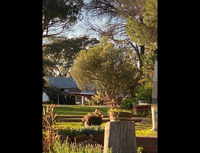 M² FARM FOR SALE IN WINDMEUL